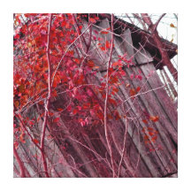 Rote Laub-Bretterbude Galerie Faltleinwand