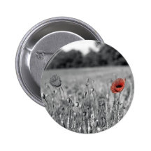 rote Mohnblume auf einem Schwarzweiss-Gebiet Anstecknadelbutton