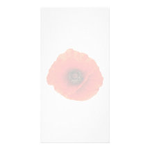 Rote Mohnblume Photokarten