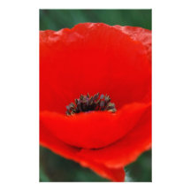 Rote Mohnblume und Bedeutung Bedrucktes Büropapier