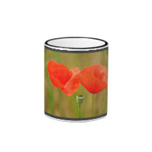 Rote Mohnblumen, Mohnblumen Tee Tasse