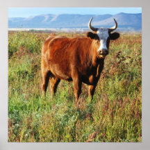Rote Mutter Cow in den Wildblumen Posterdrucke