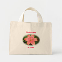 Rote orange Lilien-Blüte, wo Sie gepflanzte Tasche