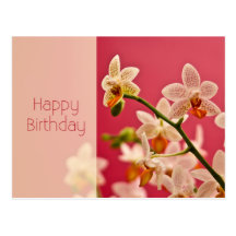 Rote Orchidee • Geburtstags-Postkarte