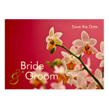 Rote Orchidee • Save the Date Minikarte Visitenkarten Vorlagen