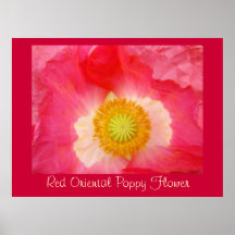 Rote orientalische Mohnblumen-Blumenkunst druckt G Plakatdrucke