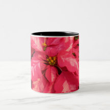 Rote rosa Poinsettia Haferl