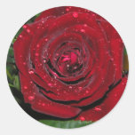 Rote Rose #2 Runder Sticker