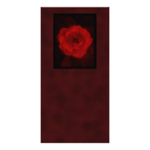 Rote Rose. Mit Schwarzem und tiefrotem. Bilderkarten