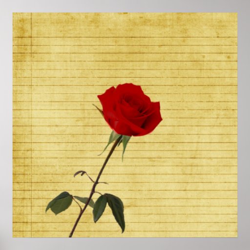 Rote Rose Posterdrucke