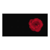 Rote Rose. Schwarzer Hintergrund Individuelle Photo Karte