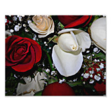 Rote Rose und Weiß-Rosenknospe Photos