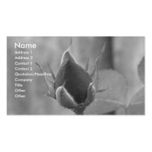 Rote Rose Visitenkarten