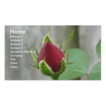 Rote Rose Visitenkarten Vorlagen