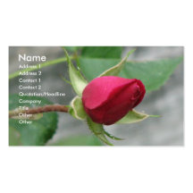 Rote Rose Visitenkartenvorlagen