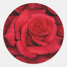 Rote Rosen - elegant u. stilvoll Runder Sticker