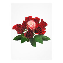 Rote Rosen und eine rosa Rose Individuelle Ankündigung