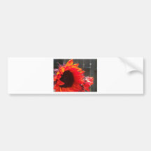 Rote Sonnenblume Auto Sticker