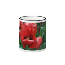 Rote Tulpe Teetassen