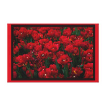 Rote Tulpen Galerie Faltleinwand
