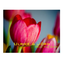 Rote Tulpen • Save-the-Date-Postkarte