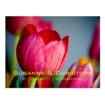 Rote Tulpen • Save-the-Date-Postkarte