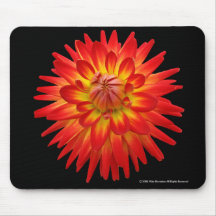 Rote und gelbe Dahlie Mousepad