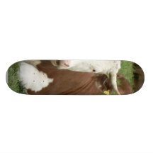 Rote und weiße Kuh auf grünem Gras Individuelles Deck