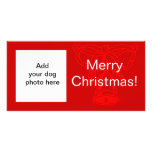 Rote weißes Weihnachtskarte Hundefoto-Bell Photo Grußkarte