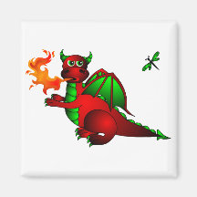 Roter Drache und Libelle Magnete