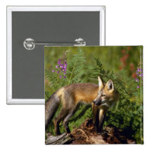 Roter Fox-Ausrüstung Button