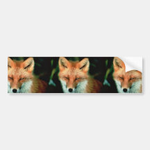 Roter Fox Autoaufkleber