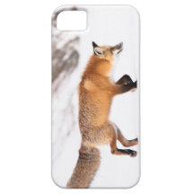 Roter Fox iPhone 5 Etui