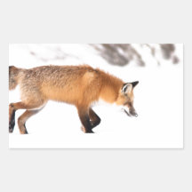 Roter Fox Rechrteckaufkleber