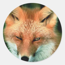 Roter Fox Runde Aufkleber