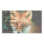 Roter Fox Visitenkartenvorlagen