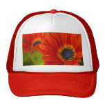 Roter Gänseblümchen-Hut Trucker Mütze