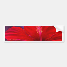 Roter Hibiskus-tropische Blumen-Malerei - multi Auto Aufkleber