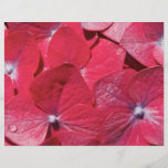 Roter Hydrangea Bedruckte Flyer