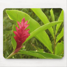 Roter Ingwer-Blume Mousepad