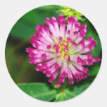 Roter Klee Sticker