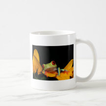 roter mit Augen Baumfrosch Haferl