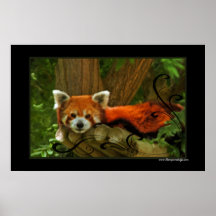 Roter Panda-Plakat-Druck