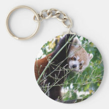 Roter Panda Schlüsselband