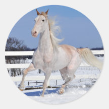 Roter Roan im Schnee Stickers
