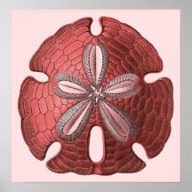 Roter Sand-Dollar-Plakat-Druck