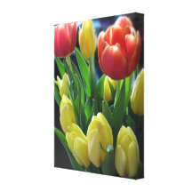 Roter und gelber Tulpe-Leinwand-Druck Leinwanddrucke