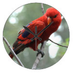 ROTER VOGEL