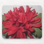 Rotes Blume mousepad