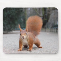 Rotes Eichhörnchen Mousepads
